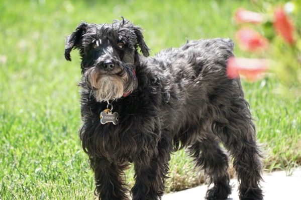 2020 04 21 2020 4 27 Photo Import 220