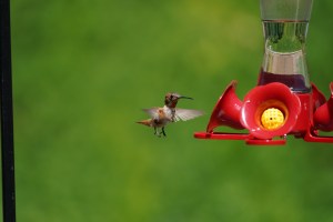 2020 07 27 untitled 432