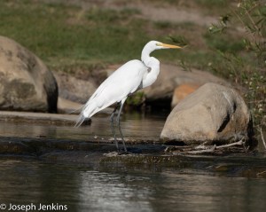 2021 2 28 Santa Ana River Trail 4
