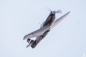 A1106421 extedit- Instagram.jpg A1106421 extedit Instagram